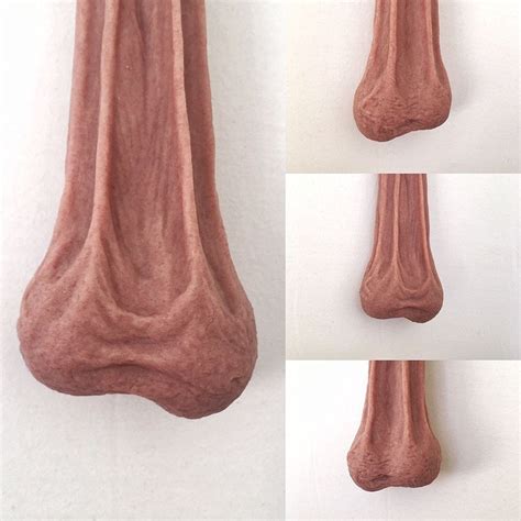 Buy Fake Balls Stag Do Fancy Dress Costume Prank Testicles Silicone Nuts Bad Grandpa Online At