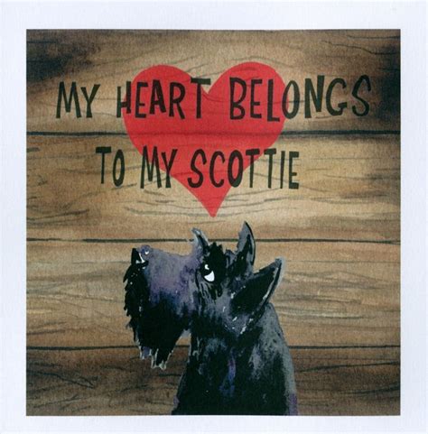 Image Result For Scottie Dog Meme Scottie Dog