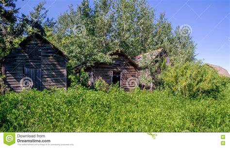 Old Farm Sheds Beyond Post And Rail Fences In Rustic Rural Scene Stock