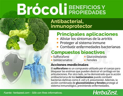 Brócoli Herbazest