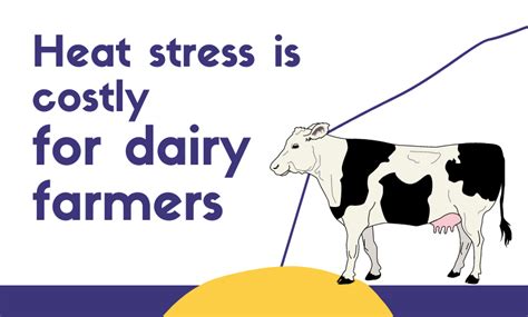 Heat Stress Is Costly For Dairy Farmers SR Publications