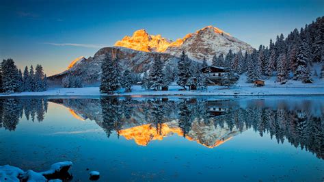 Snow Covered Pine Trees And Yellow Covered Mountains Reflection On Lake