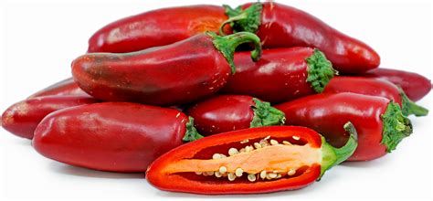 Red Jalapeño Chile Peppers Information Recipes And Facts