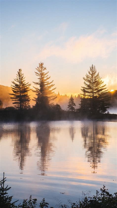 1440x2560 Lake Reflection Morning Mist Trees Nature Hd 4k Samsung