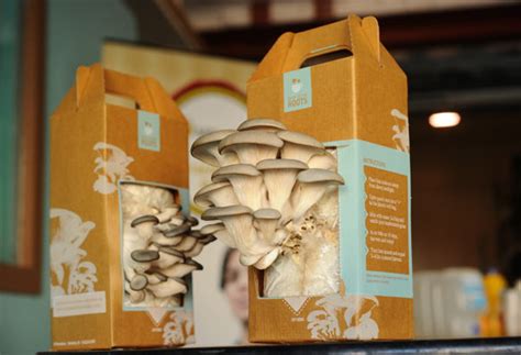 With easy to find supplies, following a few simple steps, you can grow your own mushrooms at home. Home Mushroom Growing Kit