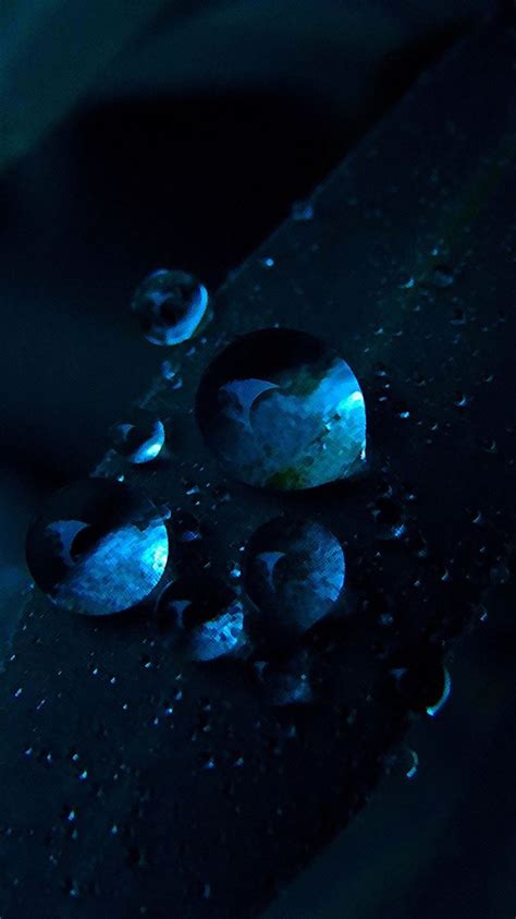 Macro Water Drops Dark Blue Grass Iphone 8 Wallpapers Free Download