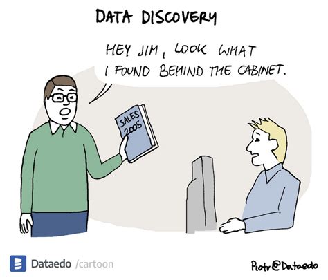 Data Discovery Visualized Dataedo Data Cartoon