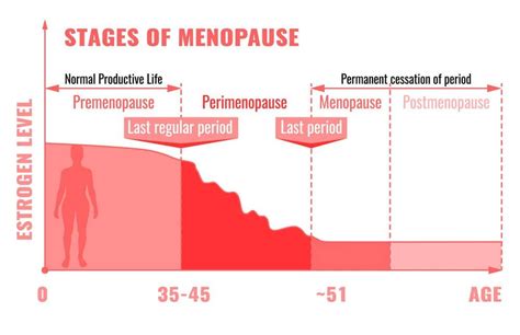 Stages Of Menopause Infographic General Practitioners Ringwood Warrandyte Road Clinic
