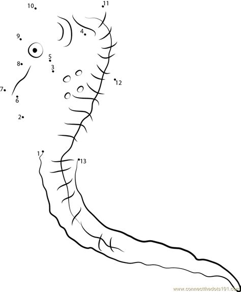 Tank Bred Colored Seahorse Dot To Dot Printable Worksheet Connect The