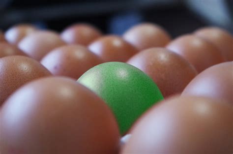 Free Images Food Brown Yolk Close Up Container Eggs Sweetness