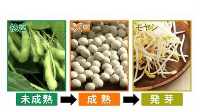 Search the world's information, including webpages, images, videos and more. 枝豆と大豆の違い!｜東海テレビ ｜ ジョージの天気上々!