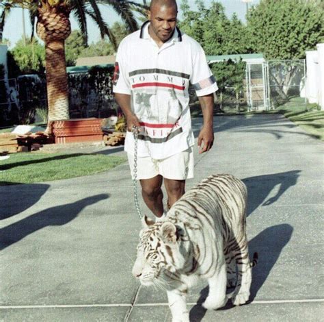 Getty) arguably the world's most famous boxer. Mick with his tiger | Mike tyson, Photo, Mma t shirts