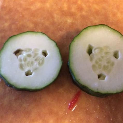 Cucumber With Tidy Tiny Holes