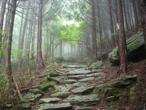 Ancient Mountain Forest Stone Path Misty By Omnimalevolent1 On Deviantart