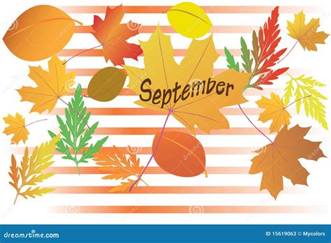 Autumn Leaves September Vector Stock Photos Image 15619063