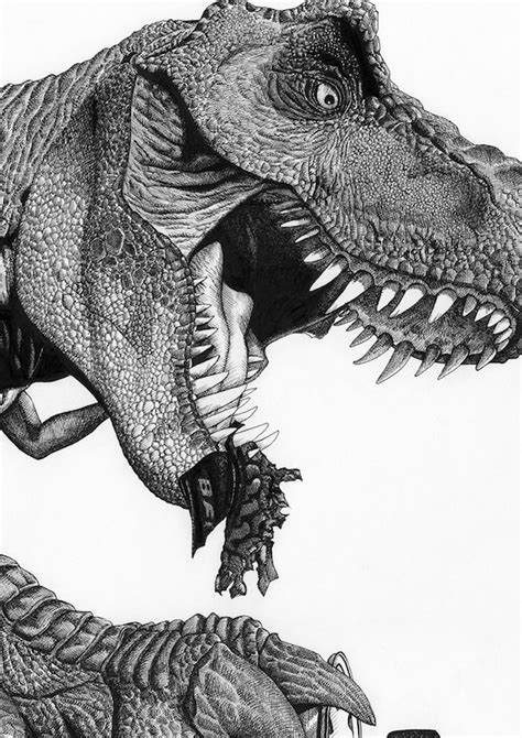 Jurassic Park T Rex Drawing