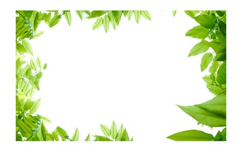Jungle Border Clipart 10 Free Cliparts Download Images On Clipground 2023