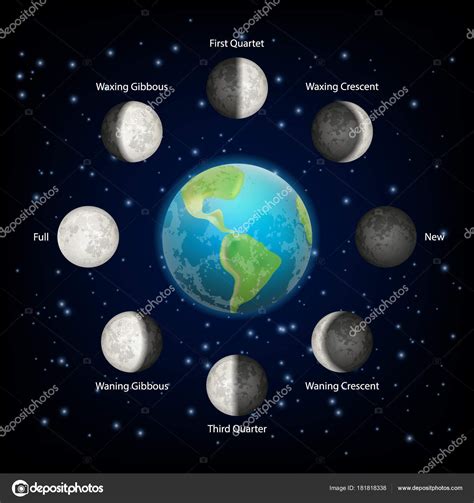 Ilustracao Lunar Do Vetor Das Fases Moon O Ciclo Da Fase Lua Nova