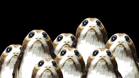 Adorable Porg Wallpaper Img Cahoots