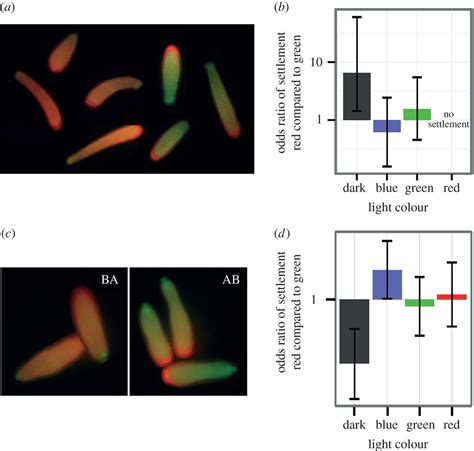 Differential Responses Of Coral Larvae To The Colour Of Ambient Light