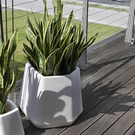 Allora sei nel posto giusto. scegliere i vasi per piante da esterno - Scelta dei Vasi ...