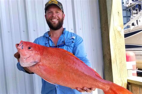 Likely Igfa All Tackle World Record Vermilion Snapper Is About To Get