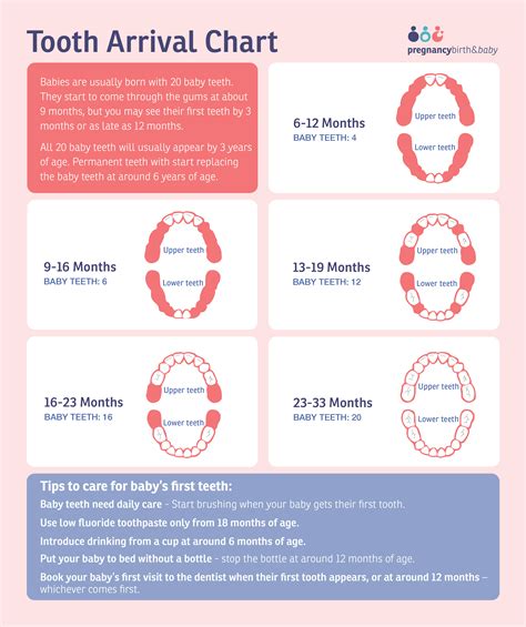 Teething Pregnancy Birth And Baby