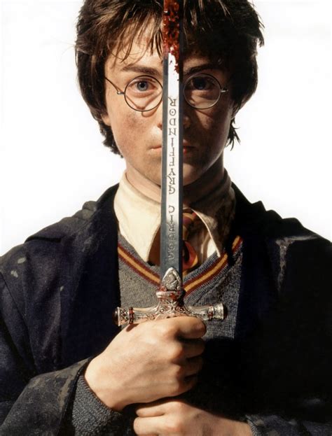 Image Sir Harry Of Gryffindorpng Harry Potter Wiki Fandom