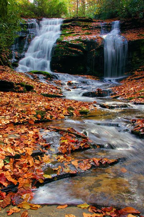 17 Best Images About Fall Color In Nc Mountains On