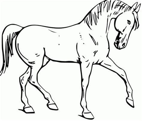Coloring Pages Of Horses Printable | Free Coloring Sheets