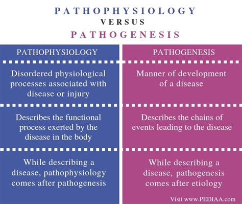 Apa Perbedaan Patogenesis Dan Patofisiologi Dokteroce Imagesee