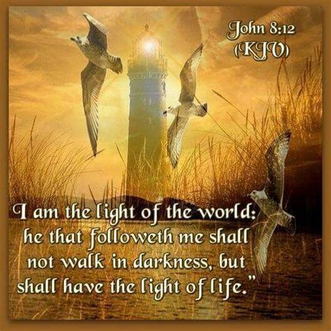 John 812 Inspirational Bible Verses Favorite Bible Verses Light Of
