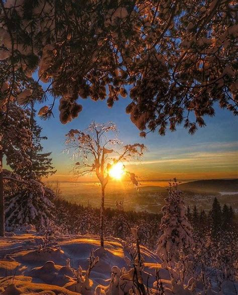 Winter Sunset Over Groruddalen Oslo Norway Photo By Maysan2611