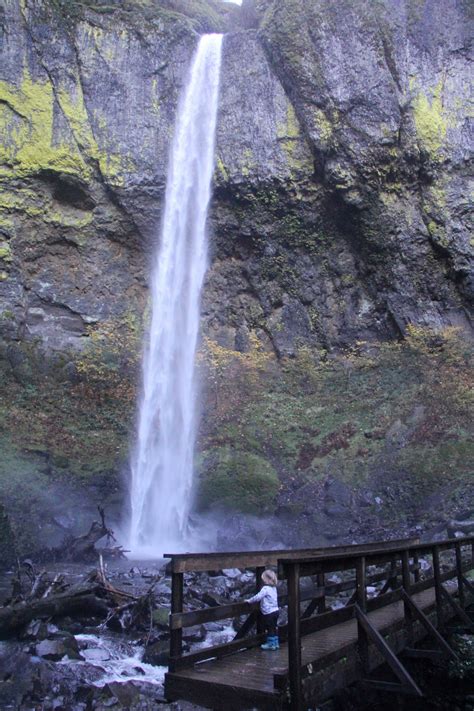 Elowah Falls Is A Gem Of The Columbia Gorge The Reflector