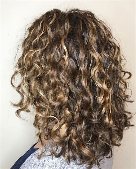 Curlybrownhairwithdarkblondehighlights Curly Hair Styles