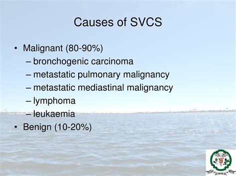 Ppt Management Of Superior Vena Cava Syndrome Perspective From