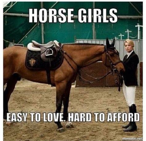 Pin By Donna Woytovich On I Love Horses Funny Horse Memes Horse