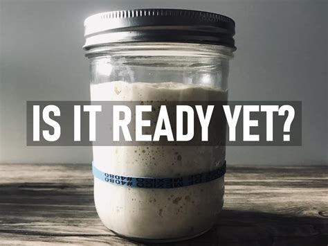 Once you have either created one or been given one then you are ready to start baking. How do I Know When My Sourdough Starter is Ready to Use?