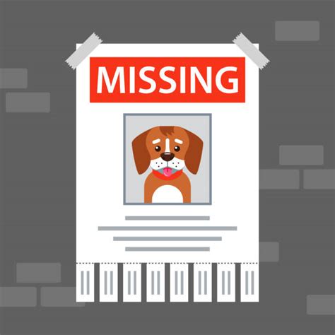 Lost Dog Illustrations Royalty Free Vector Graphics And Clip Art Istock