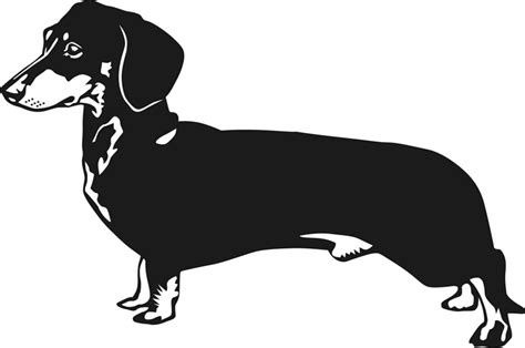 Dachshund Clip Art Images Illustrations Photos