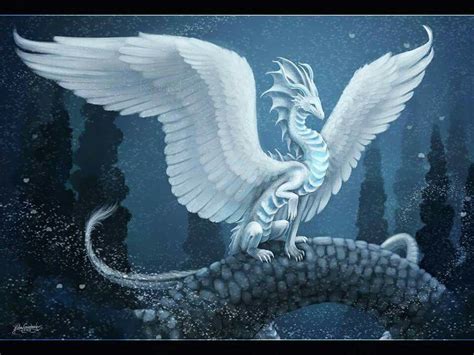 White Dragon Dragons Mystery And Beauty Of Dragon Feathered