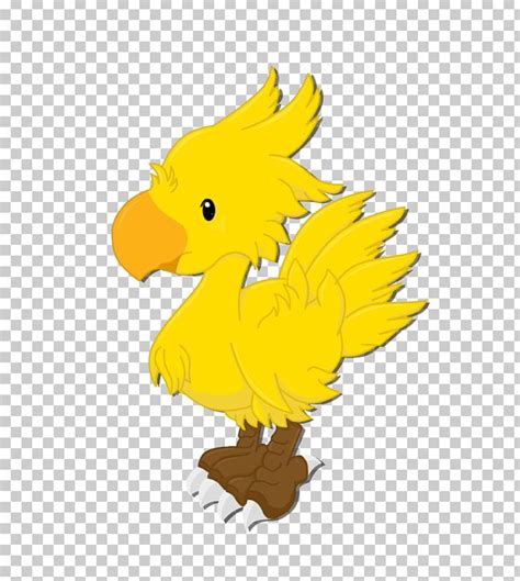 Rooster Color League Of Legends Chicken Png Clipart Anatidae Art