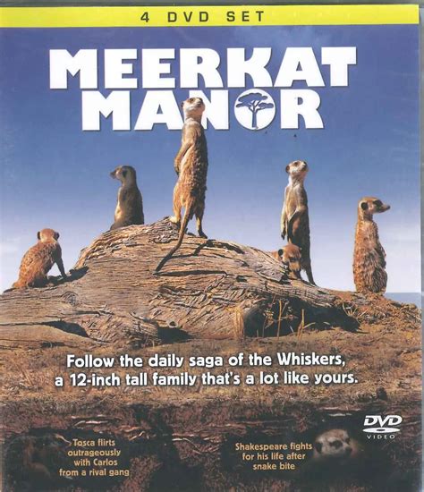 Meerkat Manor Series 1 4 Dvd Box Set Home Shopping Selections