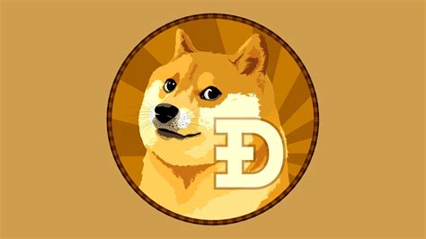 Doge, internet, wallpaper, wallpapers, animals. Doge HD Wallpaper | Background Image | 2560x1440 | ID:771210 - Wallpaper Abyss