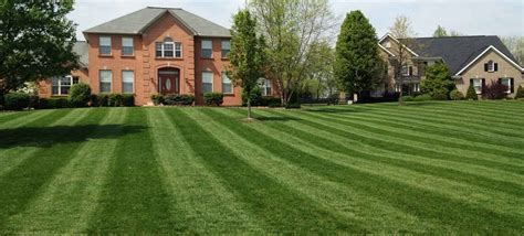 Pro Lawn Care Of N Ky Inc Mowing Information