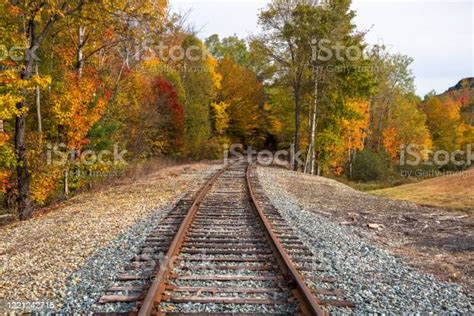 Deserted Railroad Track Lined With Deciduous Trees At The Peak Of Fall