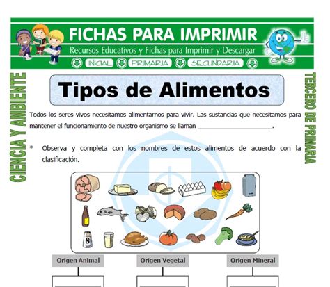 Lista 90 Foto Infografia De Alimentacion Saludable Para Niños De