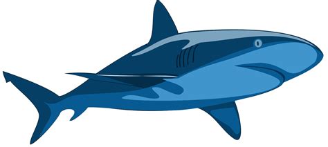 Shark Clip Art At Clker Vector Clip Art Online Royalty Free