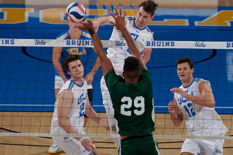 UCLA Men's Volleyball Opens MPSF Tourney Against Concordia