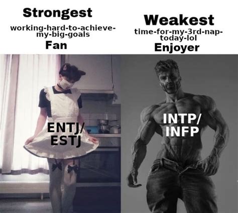 Intp T Infj Infp Estj The Personality Types Infp Personality